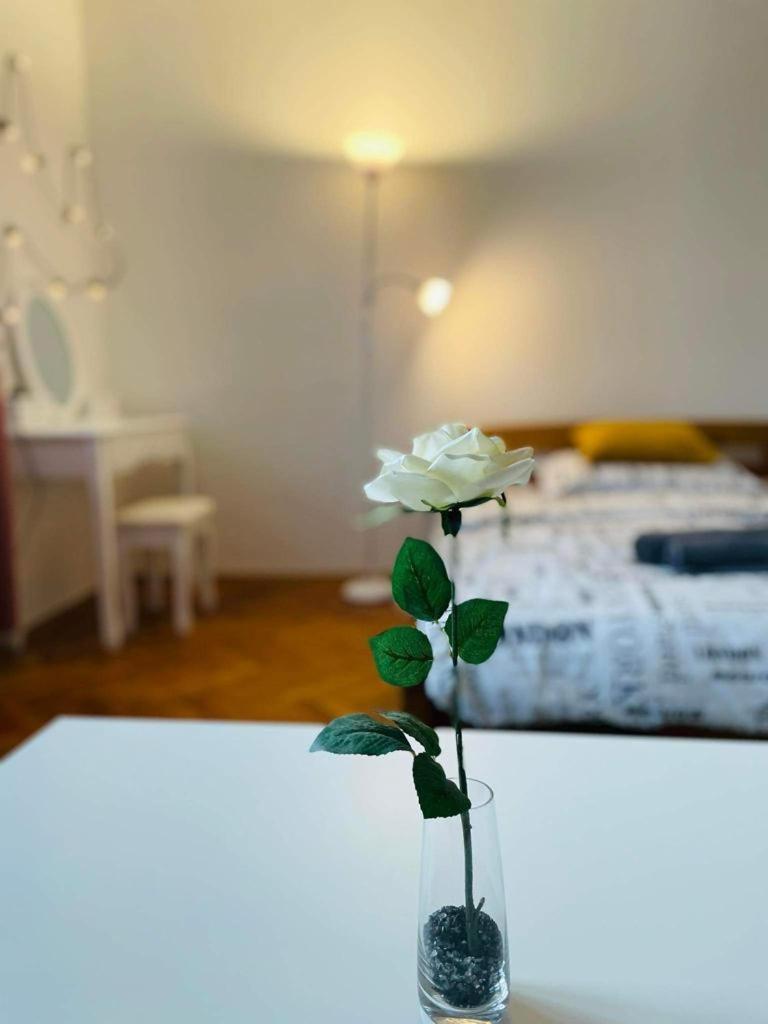 Lovely 2Bdr In Center, Wifi & Self-Check In Bratislava Bagian luar foto